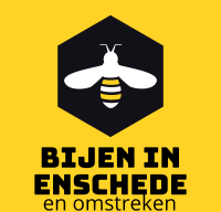 Bijen in Enschede