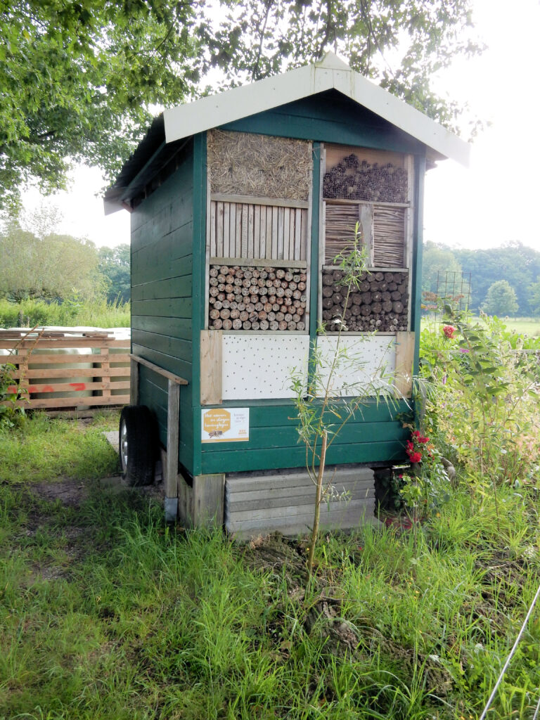 DSCN2839 Bijenstal in het voorjaar