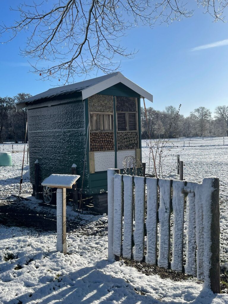 IMG-20230312-WA0003 Bijenstal in de winter