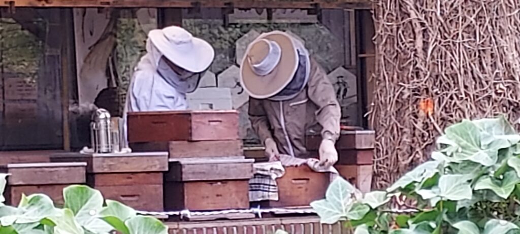 20210506_142235 imkers aan het werk